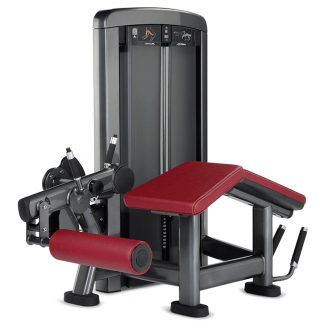 LYING LEG CURL SS-LC LIFE FITNESS