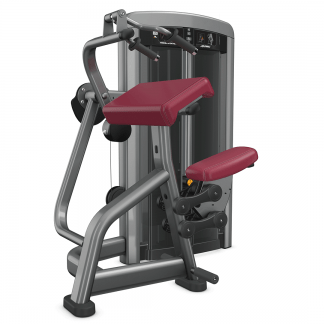 TRICEPS EXTENSION SS-TE LIFE FITNESS