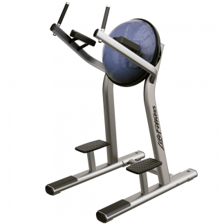 LEG RAISE SLR LIFE FITNESS