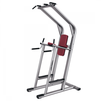 CHIN/DIP/LEG RAISE SCDLR LIFE FITNESS