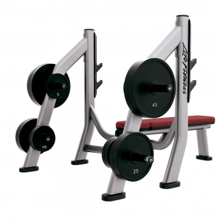 OLYMPIC BENCH WEIGHT STORAGE SOBWS LIFE FITNESS