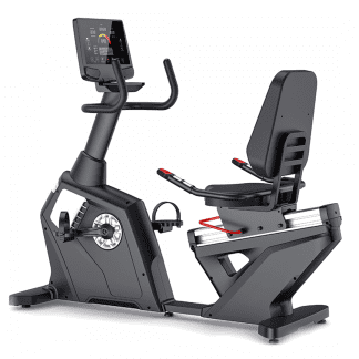 BICICLETA RECLINADA R11