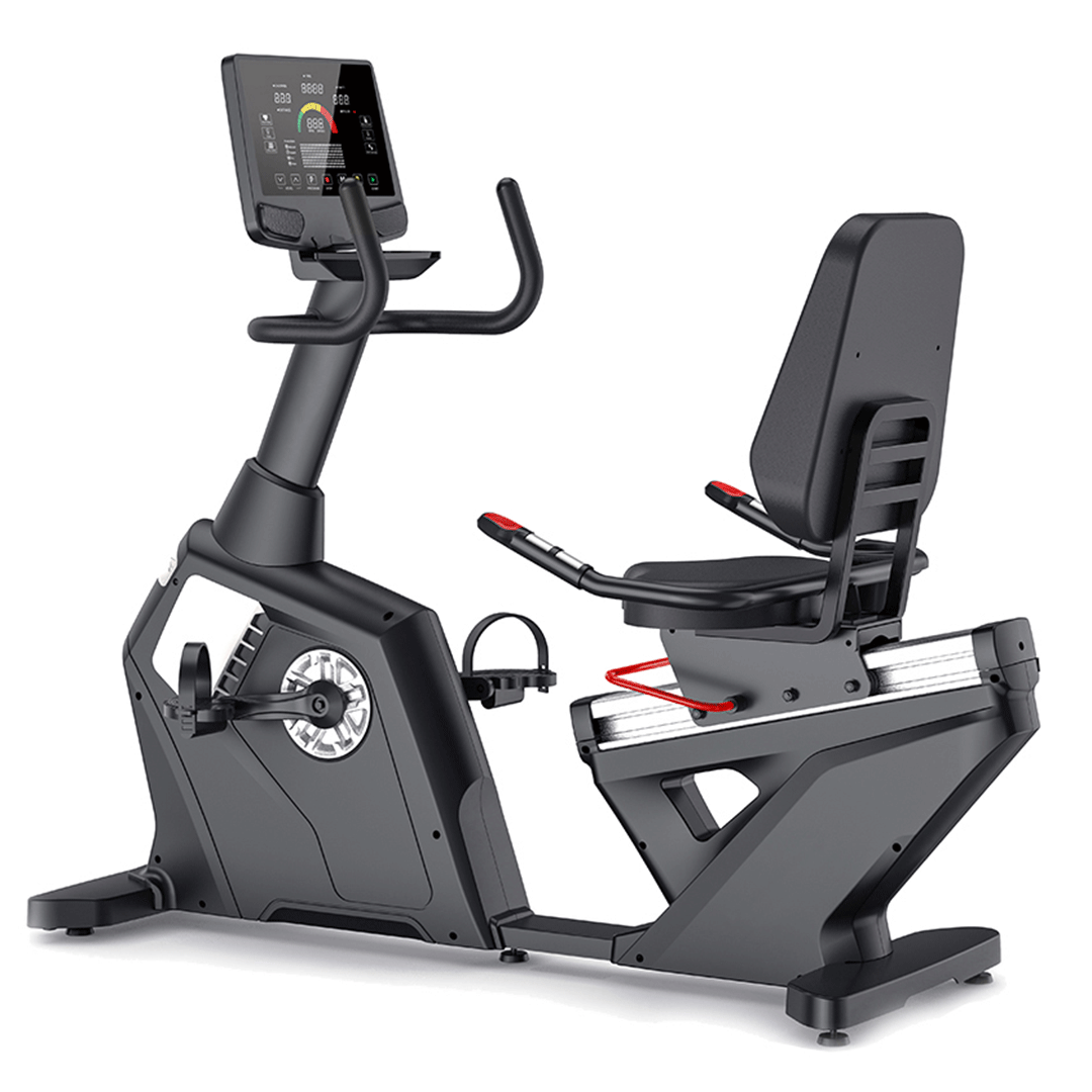 BICICLETA RECLINADA R11