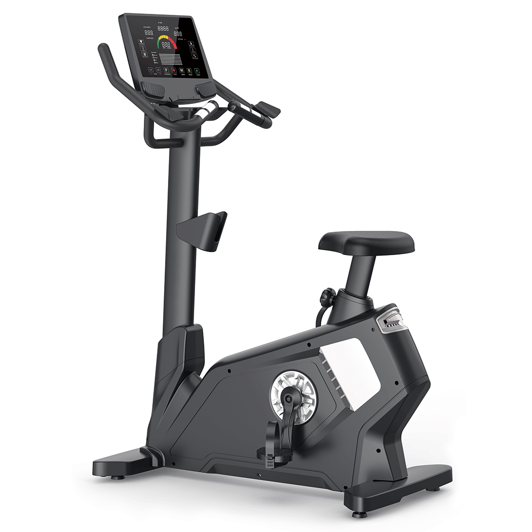 BICICLETA VERTICAL B11